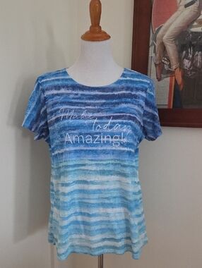 Coldwater Creek "Make Today Amazing!" Blue Striped Short-Sleeve Women's Top